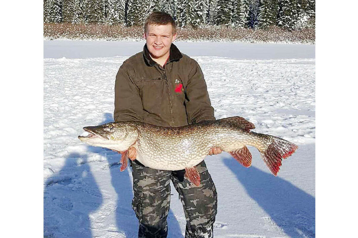 42%20inch%20northern%20pike%20from%20Seeley%20Lake%2E