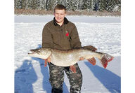 42 inch northern pike from Seeley Lake.